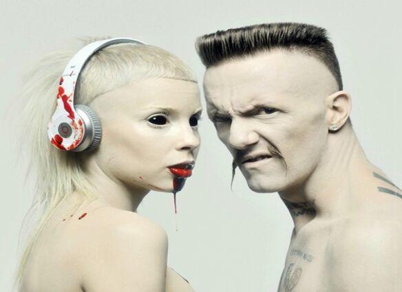 die antwoord