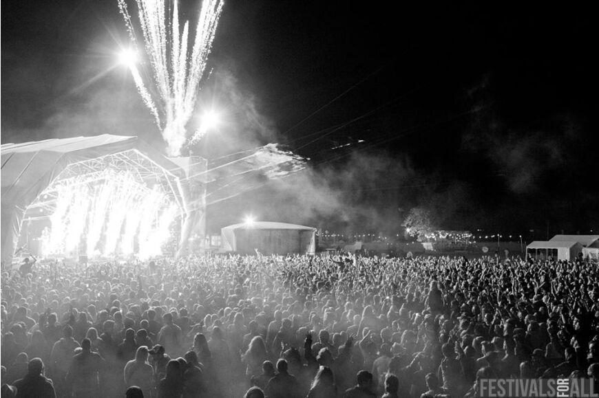 Dizzee Rascal at Brownstock Festival 2014