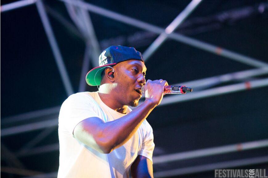 Dizzee Rascal at Brownstock Festival 2014