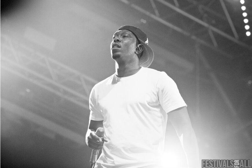 Dizzee Rascal at Brownstock Festival 2014