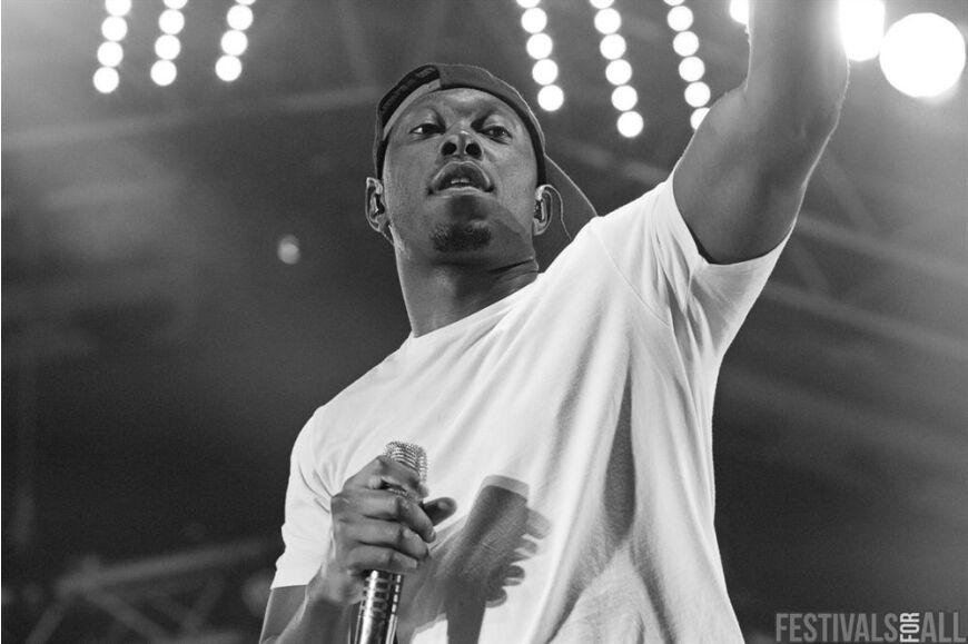 Dizzee Rascal at Brownstock Festival 2014