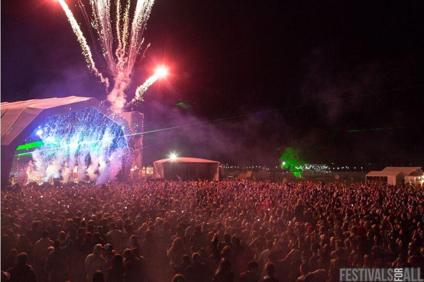 Dizzee Rascal at Brownstock Festival 2014