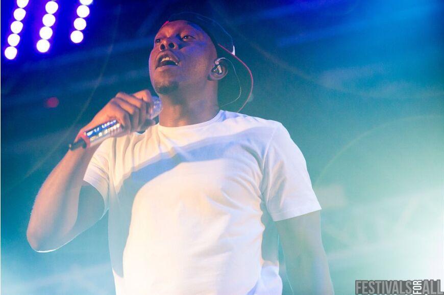 Dizzee Rascal at Brownstock Festival 2014