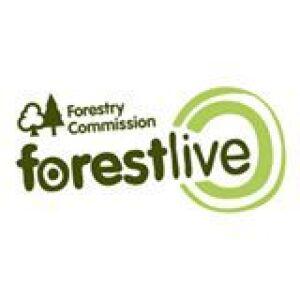 Forest Live at Dalby Forest 2015