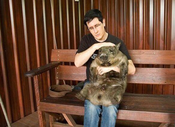 John Darnielle and a Wombat