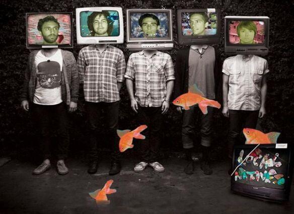 local natives 80s