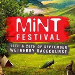 Mint Festival 2015