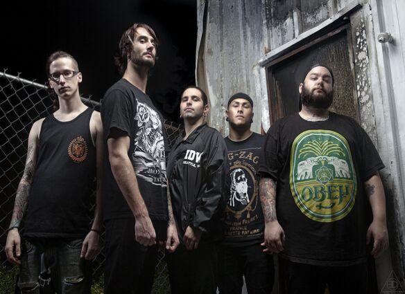Molotov Solution 2011