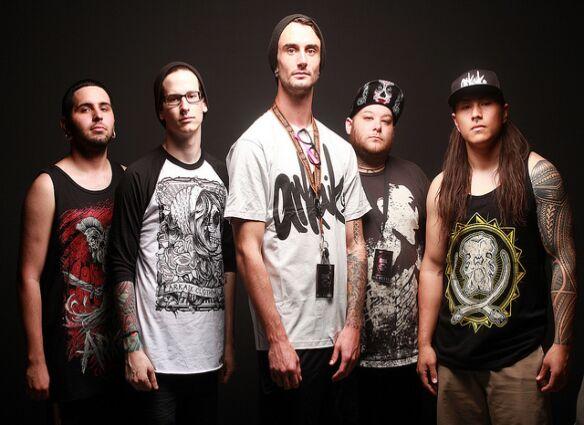 Molotov Solution 2011
