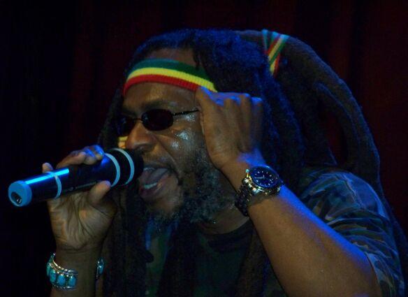 steel pulse collection 152