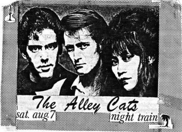 the alley cats