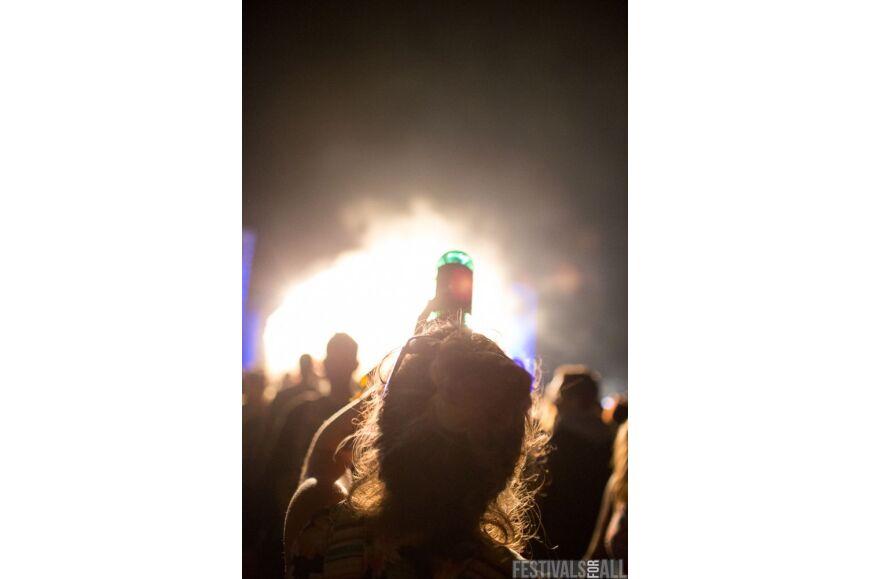 TM Brownstock Festival 2014