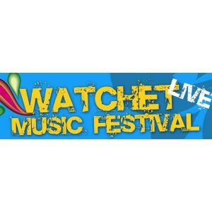 Watchet Live Music Festival 2015
