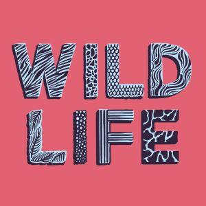 Wild Life Festival 2016