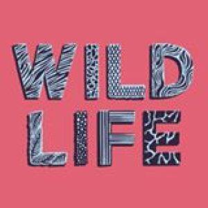Wild Life Festival 2015