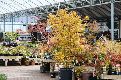 Garden Retail Manager / Horticultural Manager (Duty Manager) 