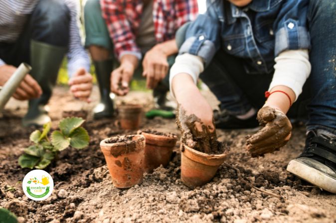 Keep the Kids Entertained This Summer at Meadow Croft Garden Centre in Battlesbridge