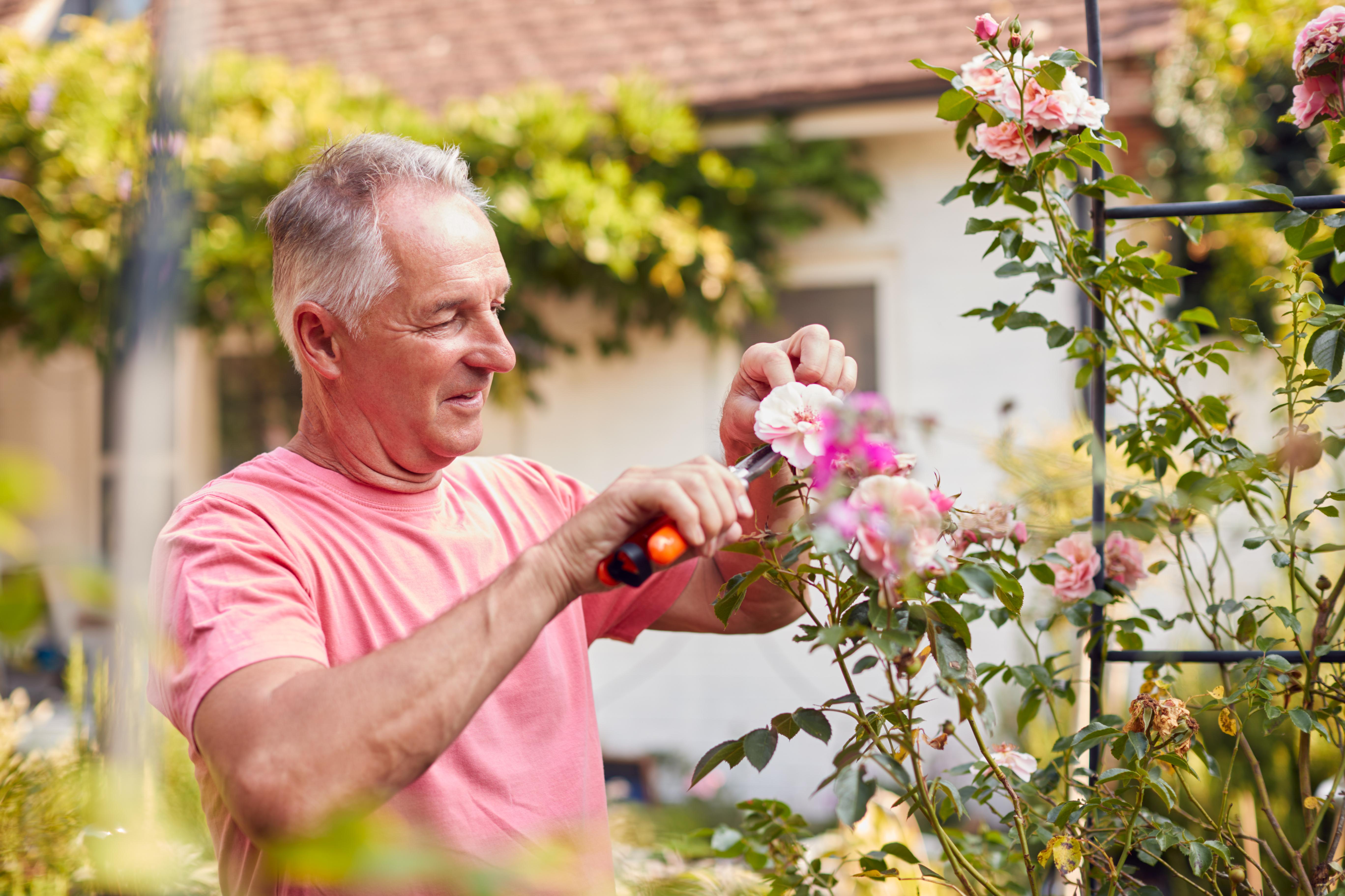 Why is gardening good for mental health?
