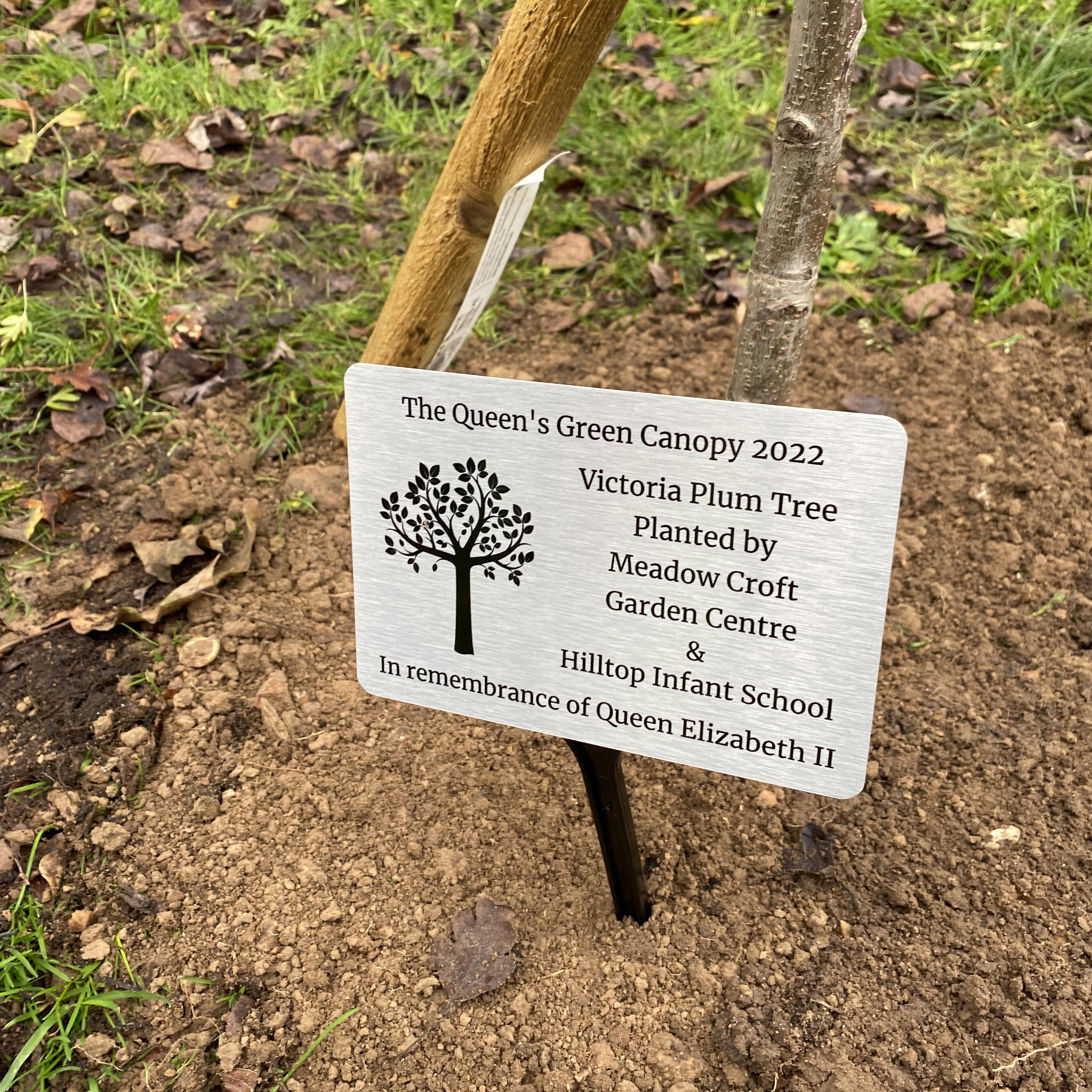 Donating a tree in memory of Her Majesty
