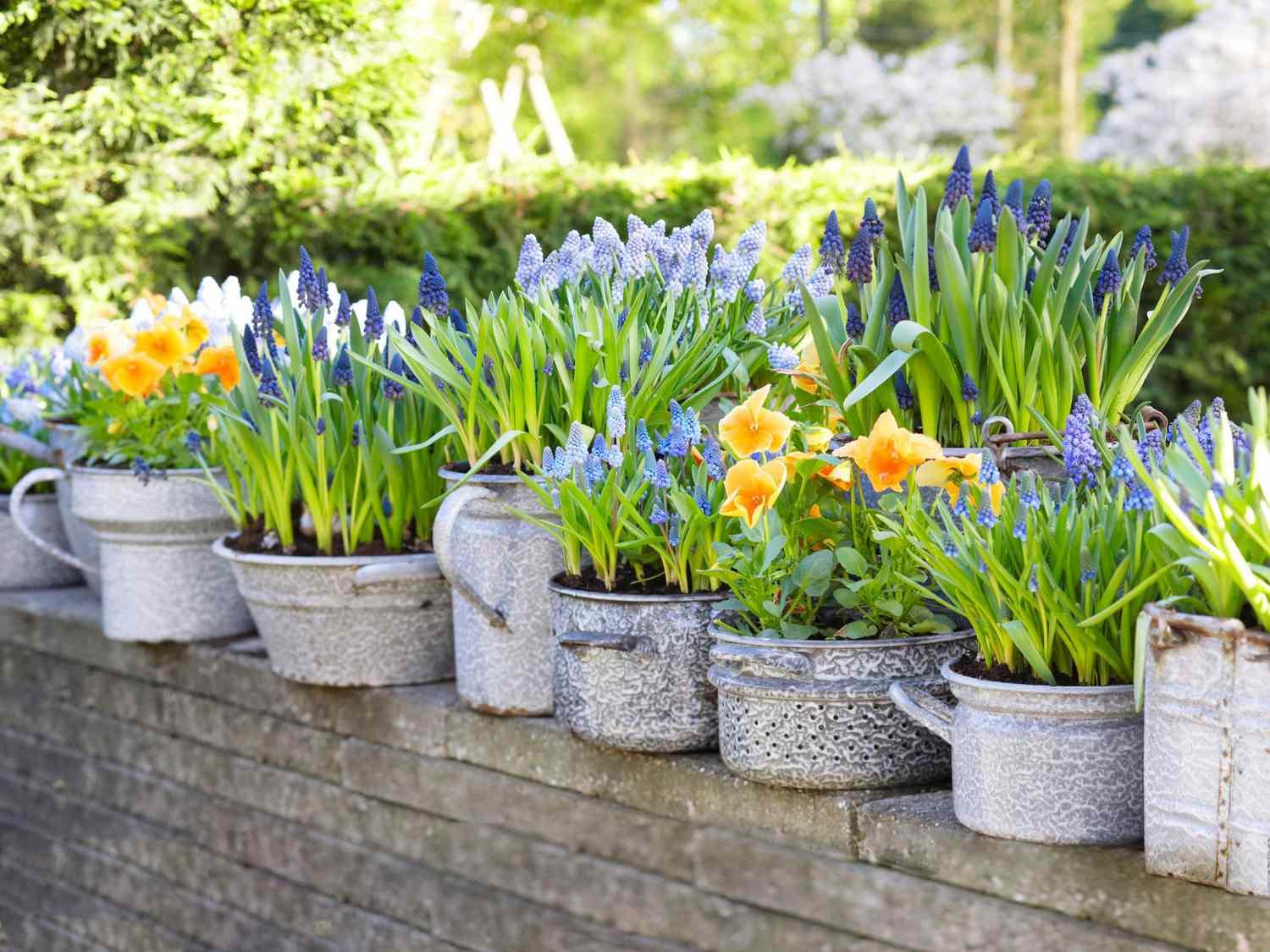 Gardening Calendar - March