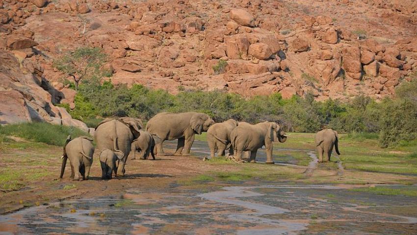 Check Out The New Elephant And Rhino Sanctuary In Namibia!