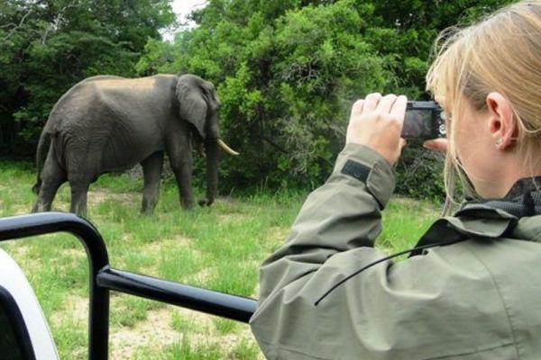 Volunteer with Elephants at the Zululand Wildlife Conservation Project