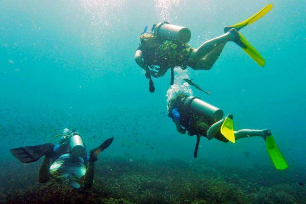 Volunteers Scuba Diving in Malaysia