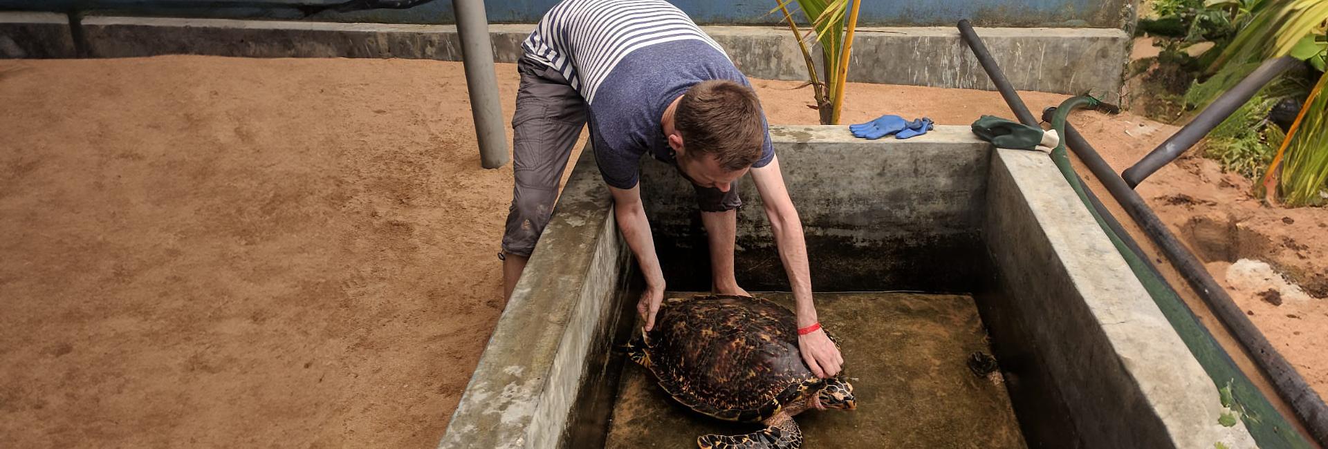 The Great Turtle Project – A Typical Day In The Life Of A Volunteer