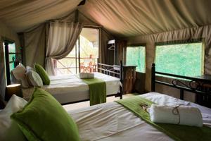 Safari Tent - Volunteer Accommodation
