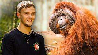 The Great Orangutan Project - Volunteer Reviews 2019