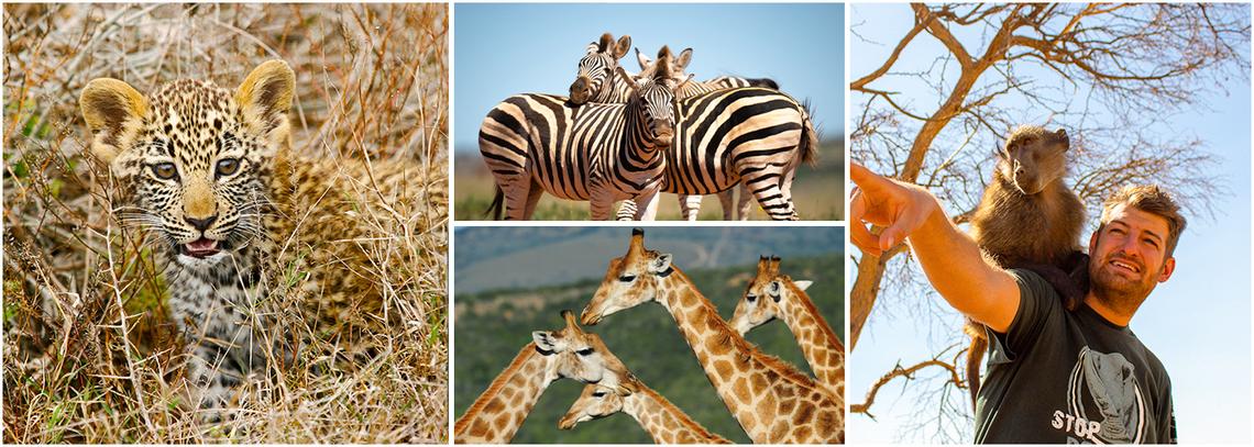 Volunteer in Africa