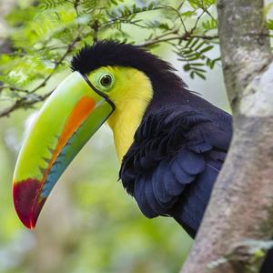 Our 5 Favourite Things About Costa Rica - From The Slow Sloths To The Stunning Scenery! 