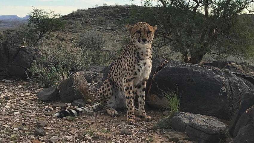 'It was a privilege...an experience I have learnt much from and will remember forever' - hear what our competition winner, Laura, has to say about her time in Namibia!