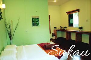 Accommodation in Sukau - Double Room