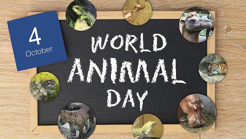 World Animal Day 2017