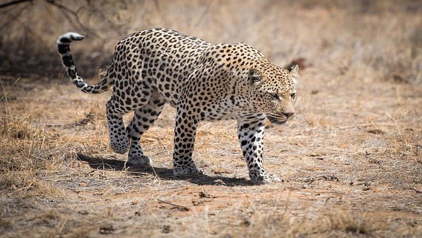 The Namibia Wildlife Sanctuary