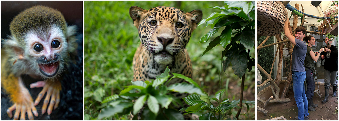 Costa Rica Wildlife Sanctuary