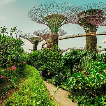 The World's Greenest Cities