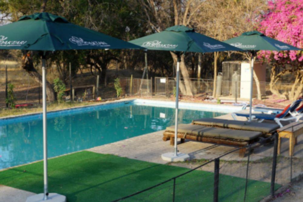 Pool at the Wildlife Orphanage in South Africa