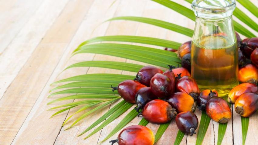 Are The Contents Of Your Cupboards Harming The World? Palm Oil Uncovered...