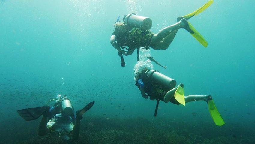 Become a Dive Volunteer in Perhentian Paradise