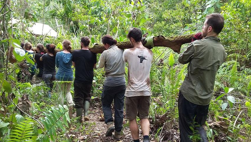 March Updates From The Samboja Lestari Orangutan Project!