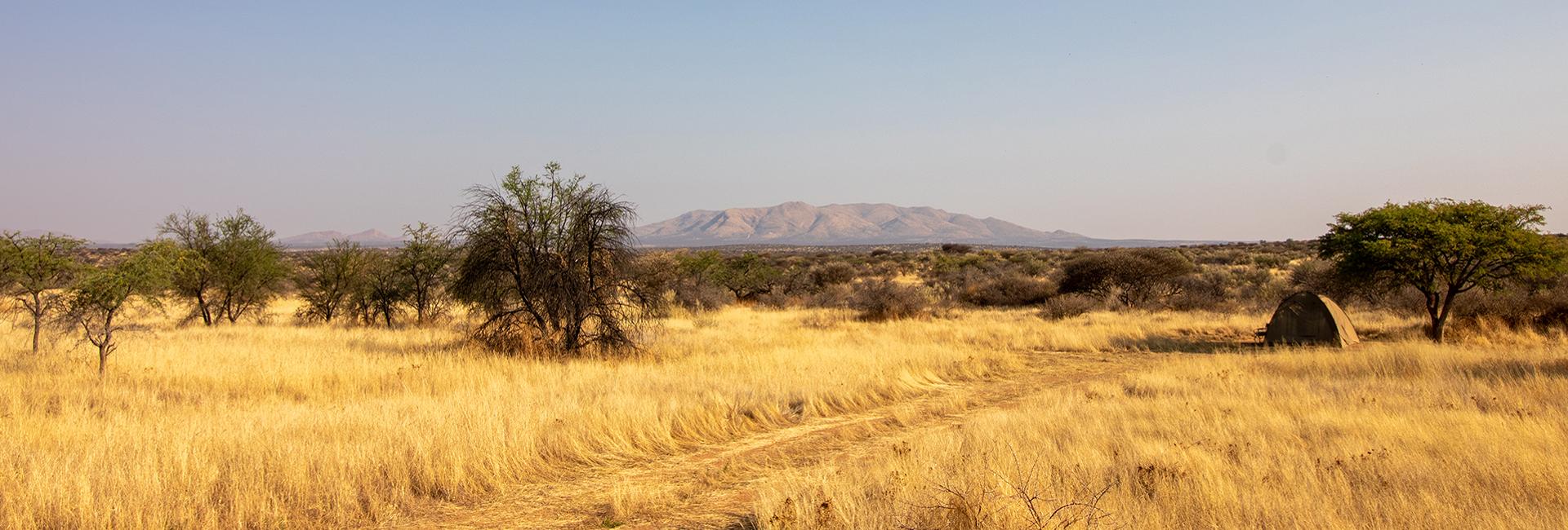 Eszter's Experience of the Namibia Wildlife Sanctuary!