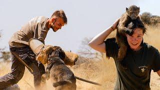 Namibia Wildlife Sanctuary Project Video - 2022