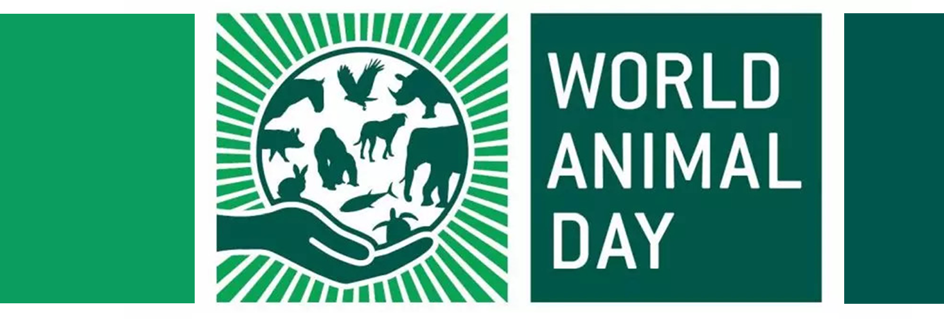 World Animal Day 2020