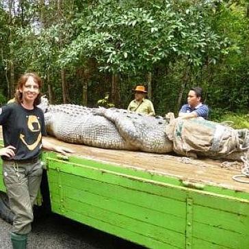 The Giant Crocodile