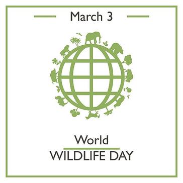 World Wildlife Day 2017 - "Listen To The Young Voices" 