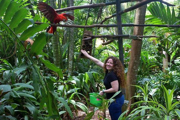 Food Prep & Animal Feeding @ Costa Rica Wildlife Sanctuary