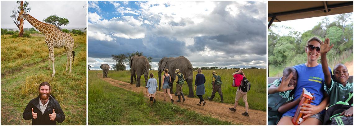 Volunteer with Elephants & Rhinos in Zimbabwe | The Great Projects