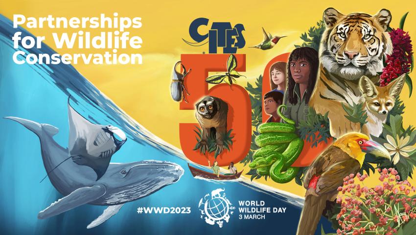 The Celebration Of World Wildlife Day 2023
